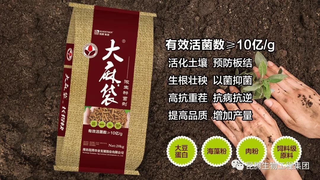 復(fù)合微生物菌劑廠家直銷