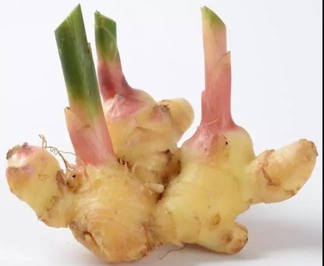 復(fù)合微生物菌劑廠家直銷