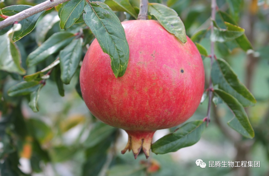 1665995759681584.png 微信圖片_20221017163547.png
