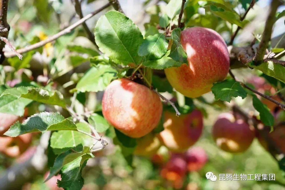 1666763536115935.jpg 微信圖片_20220610150900.jpg
