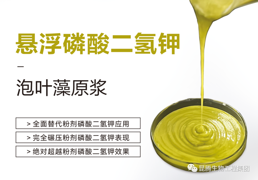 1680490913638330.png 微信圖片_20230331132615.png
