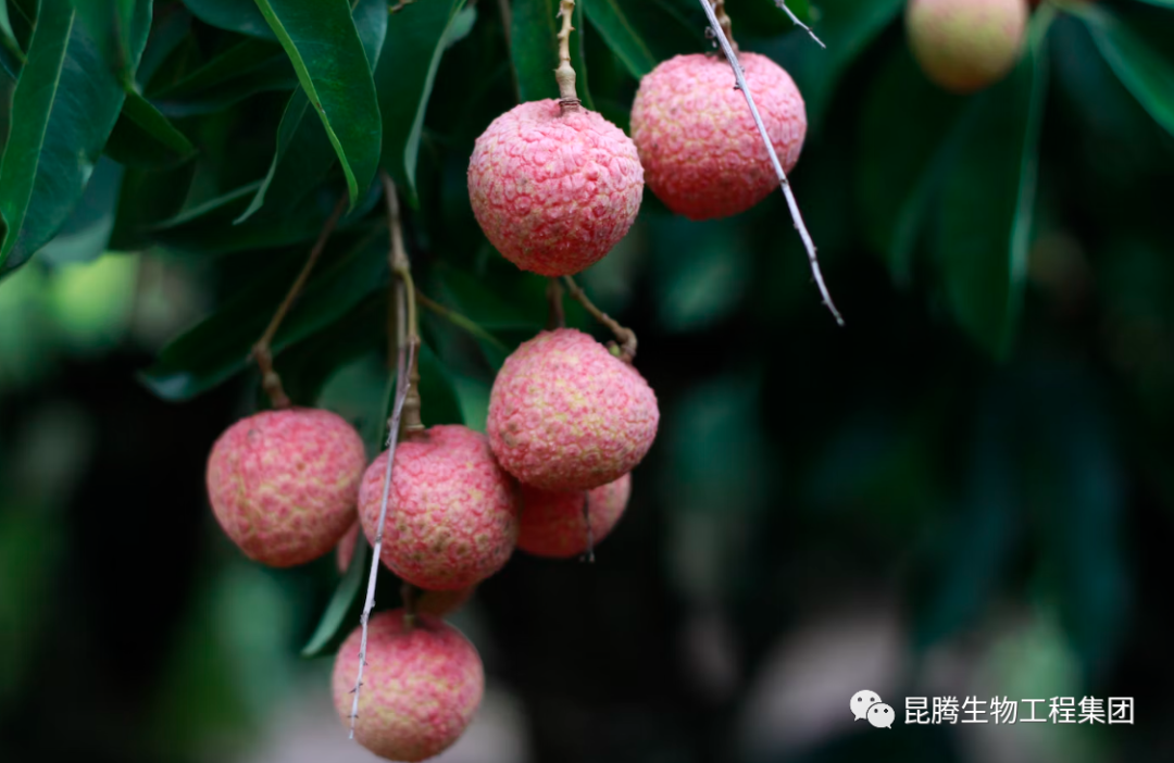 1684221092660922.png 微信圖片_20230516151119.png