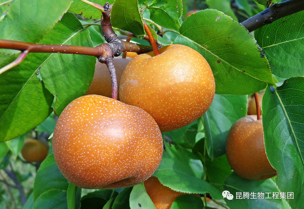 微信圖片_20230918101710.png